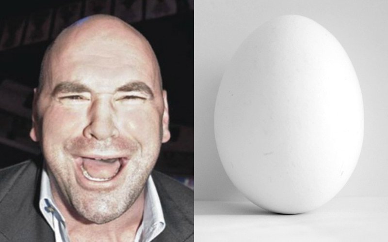 danewhiteegg