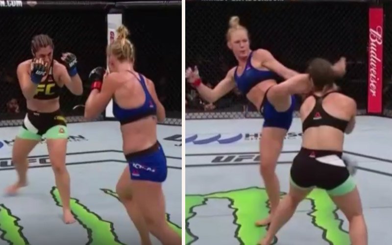 hollyholm