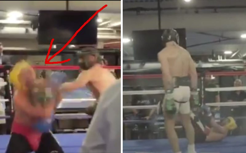 conorboxing