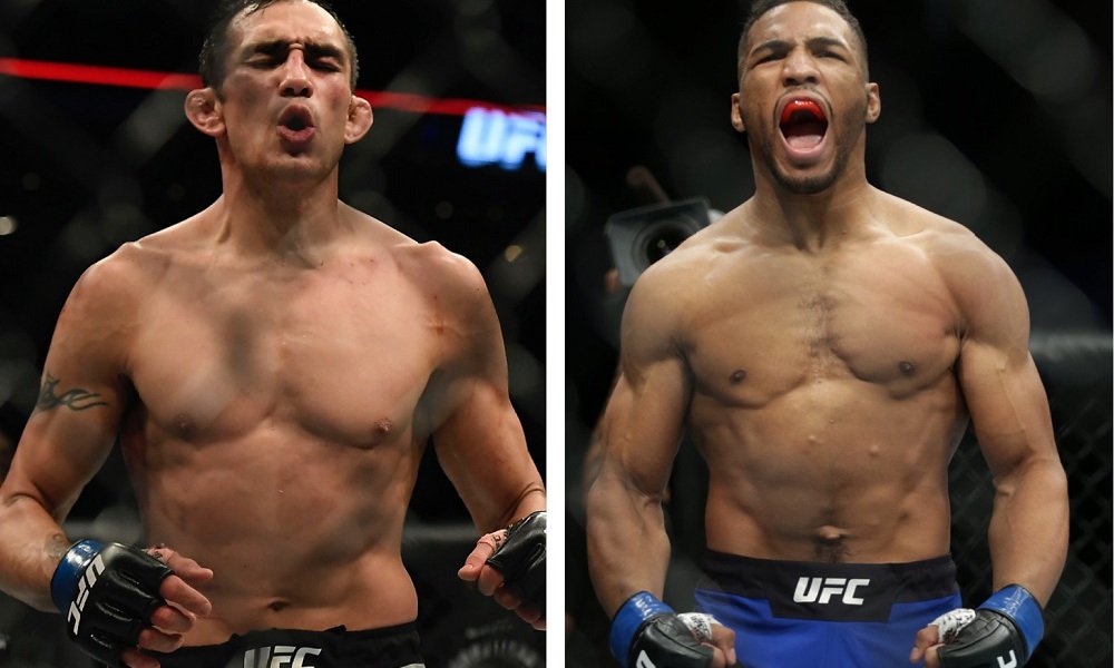 tony ferguson and kevin lee