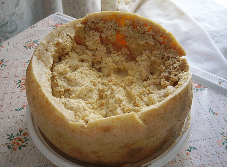 Casu Marzu good exercise food