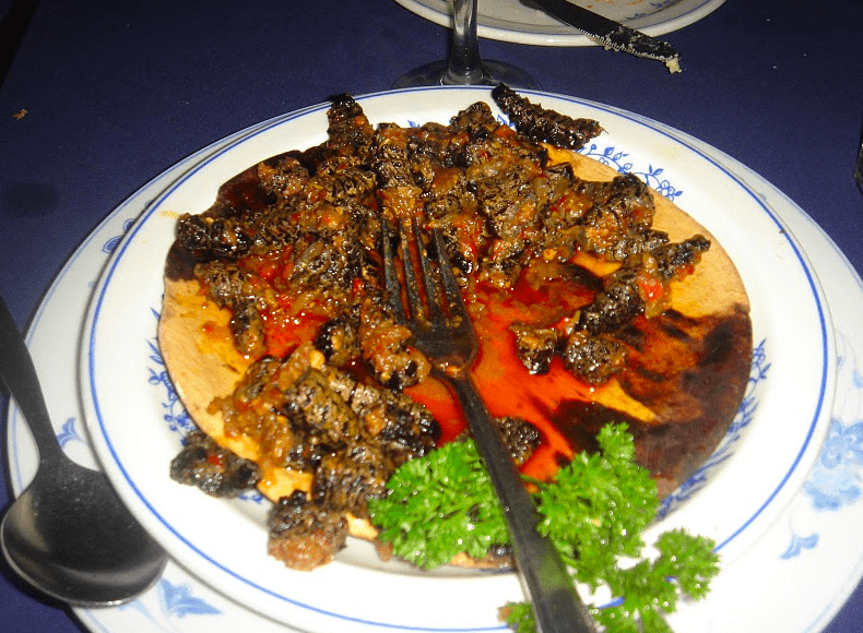 Mopane worm good protein source
