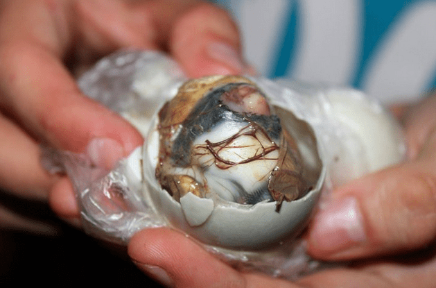 Raw Duck Egg - balut
