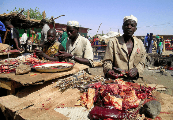 bush meat
