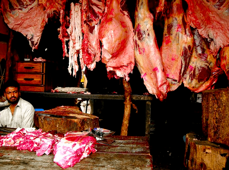 Camel Meat Good Protein