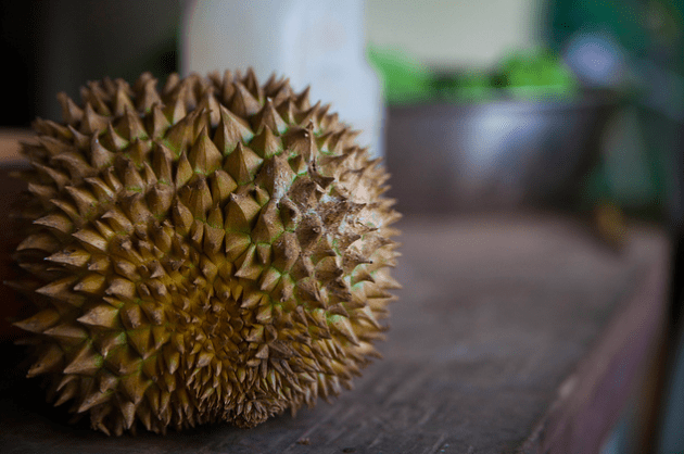 durian australia