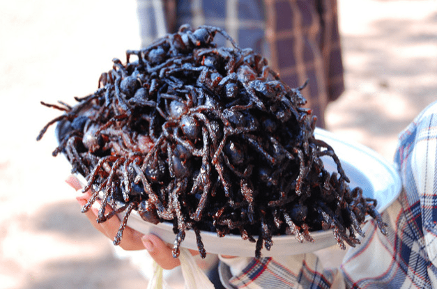 Fried Tarantulas