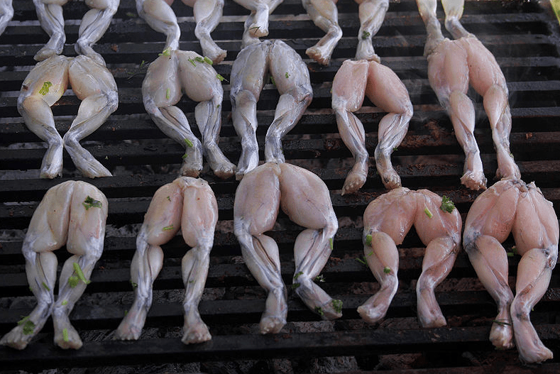 Frog legs to eat