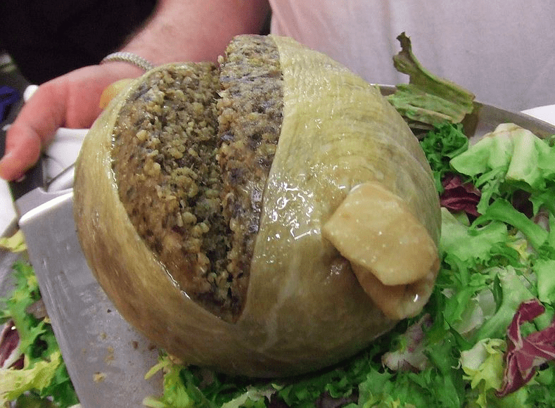 Haggis from scotland