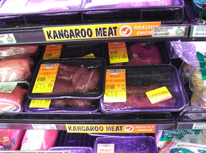 Kangaroo meat good source of protein for training