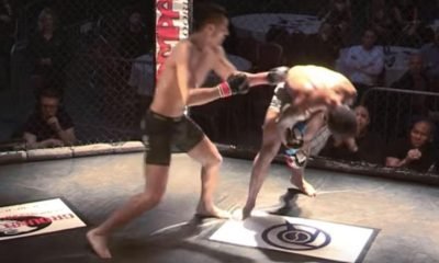 MMA Knock Out