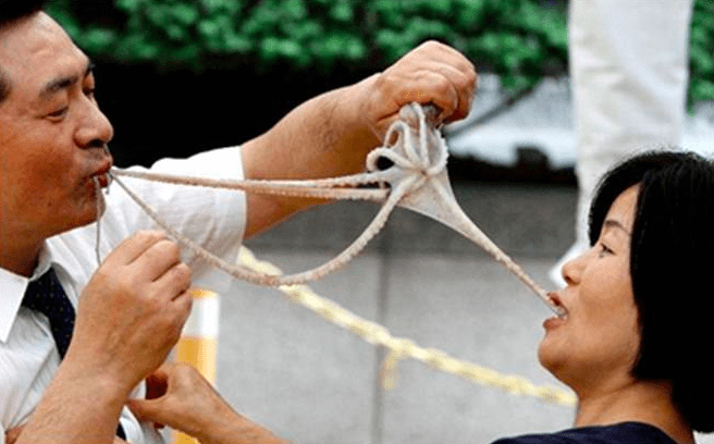 samjaki from Japan