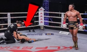 Buakaw Brutal Knockout