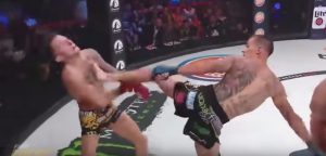 Conor McGregor Wannabe Get Knocked Out