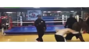 wilderknockout