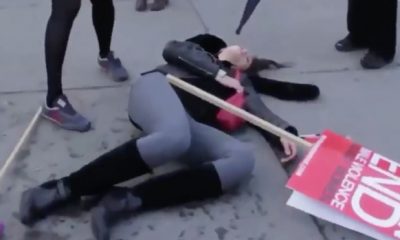 Woman Protester Knocked Out