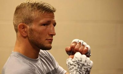 TJ Dillashaw Out of UFC