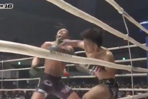 Tough kockout